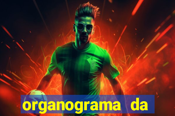 organograma da cacau show